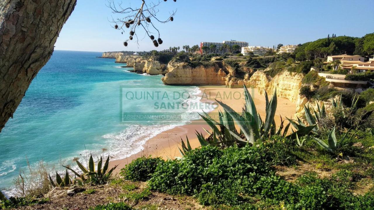 Apartamento Vitismar Ca Guia  Esterno foto
